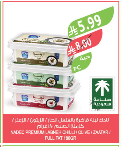 Chilli available at Farm  in KSA, Saudi Arabia, Saudi - Najran
