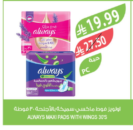 available at المزرعة in مملكة العربية السعودية, السعودية, سعودية - الباحة