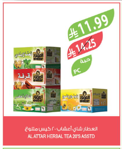 Mint available at المزرعة in مملكة العربية السعودية, السعودية, سعودية - نجران