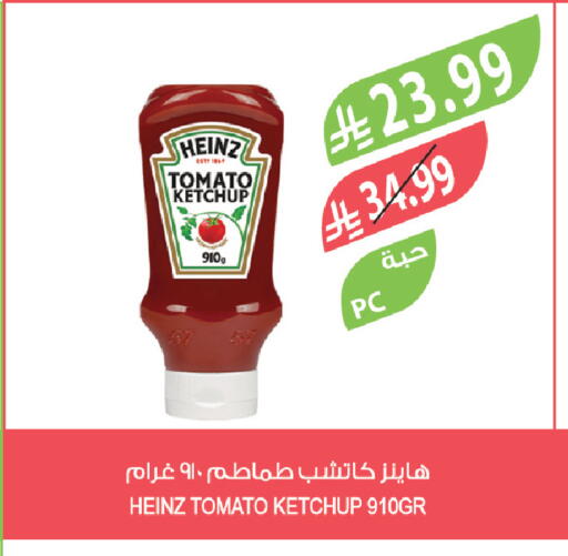 Tomato available at Farm  in KSA, Saudi Arabia, Saudi - Arar