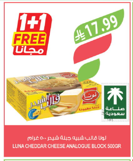 available at المزرعة in مملكة العربية السعودية, السعودية, سعودية - الباحة