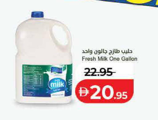 available at لولو هايبرماركت in الإمارات العربية المتحدة , الامارات - ٱلْفُجَيْرَة‎