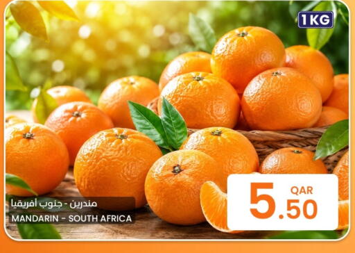 Mandarin from South Africa available at البلدي اليوم in قطر - الخور