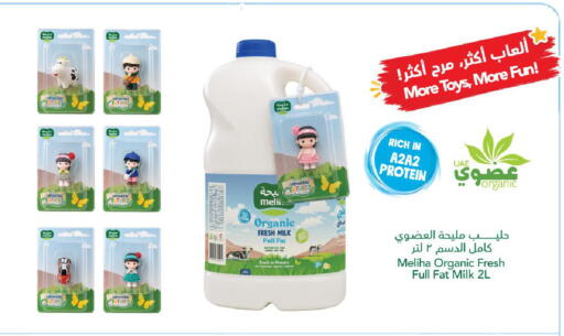 available at الأسواق هايبرماركت in الإمارات العربية المتحدة , الامارات - رَأْس ٱلْخَيْمَة