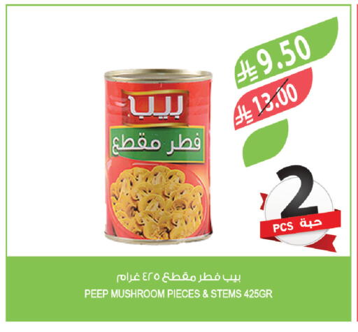 Mushroom available at المزرعة in مملكة العربية السعودية, السعودية, سعودية - الباحة