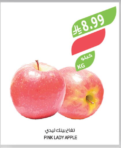 Apple available at المزرعة in مملكة العربية السعودية, السعودية, سعودية - الجبيل‎