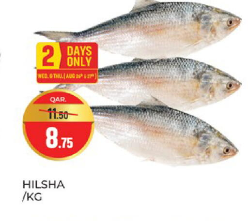 available at باريس هايبرماركت in قطر - الريان