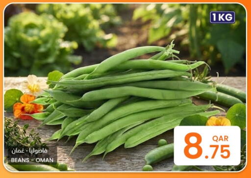 from Oman available at البلدي اليوم in قطر - الخور