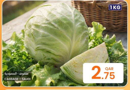 Cabbage from Saudi Arabia available at البلدي اليوم in قطر - الريان