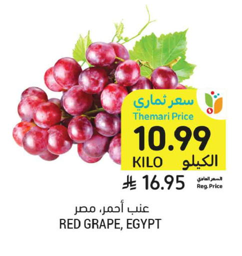 from Egypt available at أسواق التميمي in مملكة العربية السعودية, السعودية, سعودية - الرس