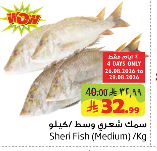available at Layan Hyper in KSA, Saudi Arabia, Saudi - Dammam