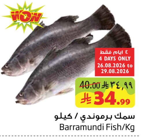available at Layan Hyper in KSA, Saudi Arabia, Saudi - Dammam