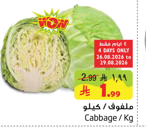 Cabbage available at Layan Hyper in KSA, Saudi Arabia, Saudi - Dammam