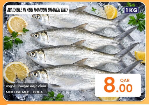 available at البلدي اليوم in قطر - الخور