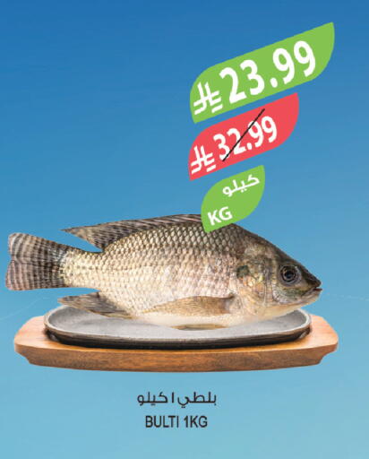 available at المزرعة in مملكة العربية السعودية, السعودية, سعودية - الخرج