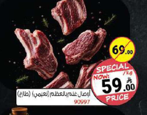 available at House Care in KSA, Saudi Arabia, Saudi - Mecca