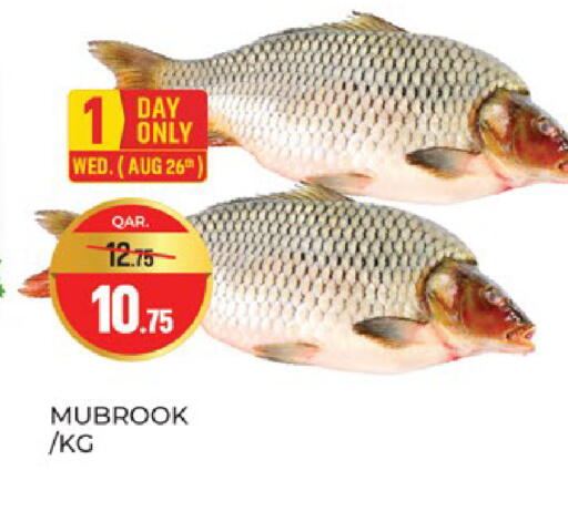 available at باريس هايبرماركت in قطر - الريان