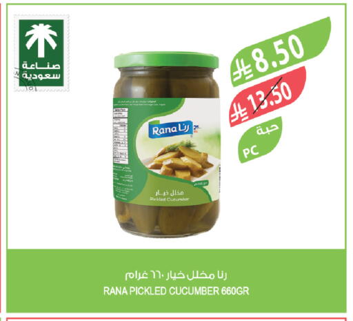 Cucumber available at المزرعة in مملكة العربية السعودية, السعودية, سعودية - المنطقة الشرقية