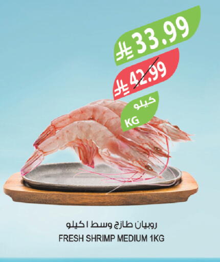 available at المزرعة in مملكة العربية السعودية, السعودية, سعودية - الخرج