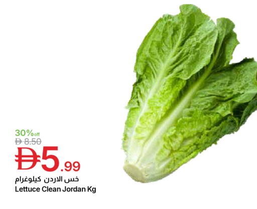 Lettuce from Jordan available at جمعية الامارات التعاونية in الإمارات العربية المتحدة , الامارات - دبي