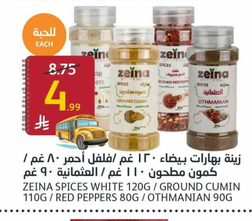 Cumin available at AlJazera Shopping Center in KSA, Saudi Arabia, Saudi - Riyadh