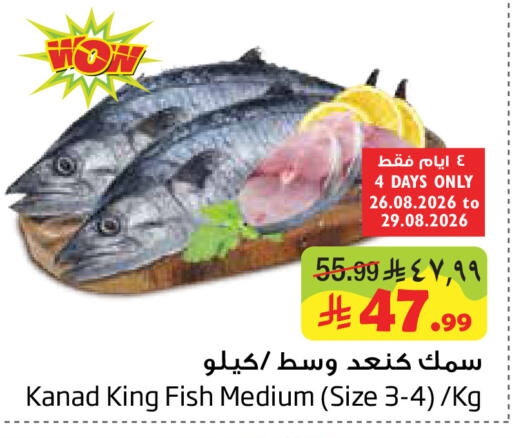 available at Layan Hyper in KSA, Saudi Arabia, Saudi - Dammam