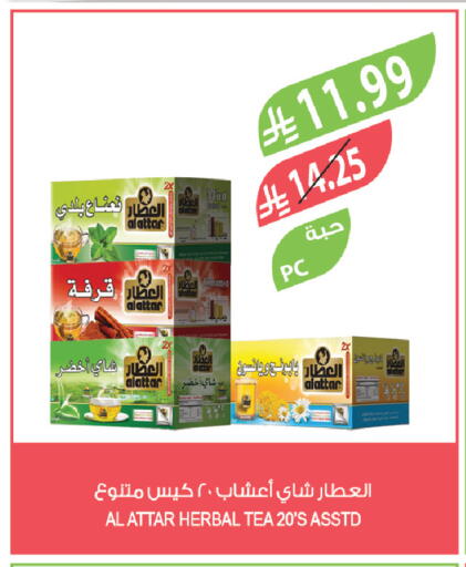 Mint available at المزرعة in مملكة العربية السعودية, السعودية, سعودية - الخرج