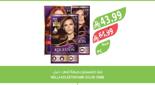 available at المزرعة in مملكة العربية السعودية, السعودية, سعودية - نجران