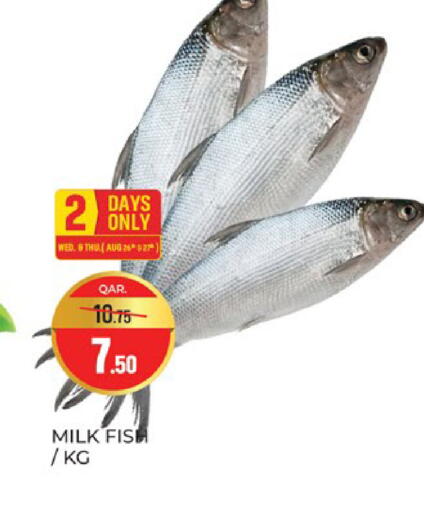 available at Paris Hypermarket in Qatar - Al Wakra