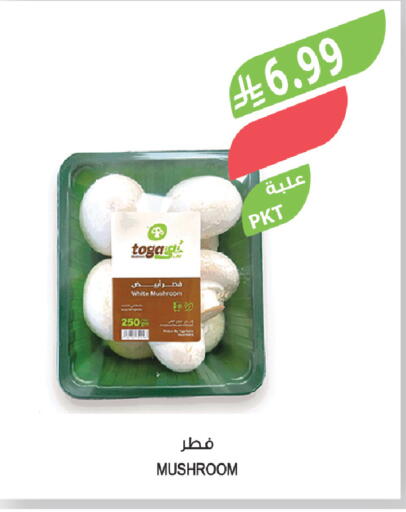 Mushroom available at المزرعة in مملكة العربية السعودية, السعودية, سعودية - عرعر