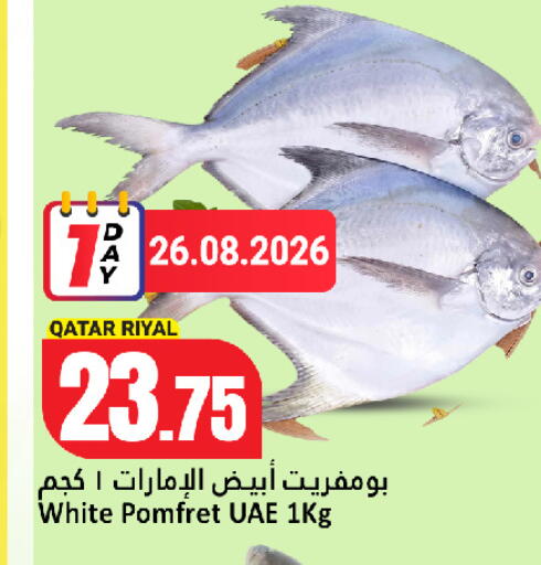 available at دانة هايبرماركت in قطر - الريان