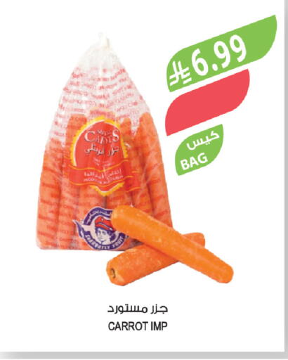 Carrot available at Farm  in KSA, Saudi Arabia, Saudi - Tabuk