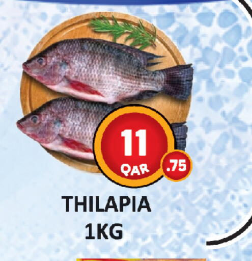 available at AL HABARI FOOD STUFF (FS2) in Qatar - Al-Shahaniya