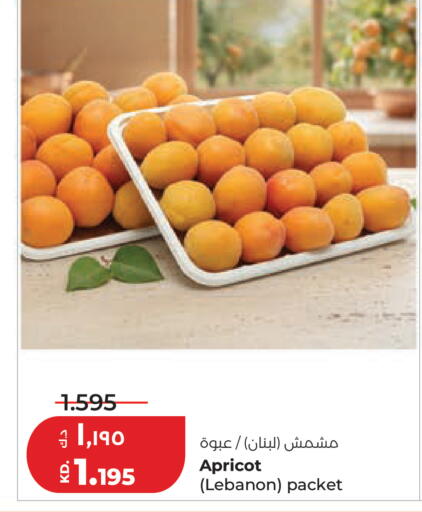Apricot available at Lulu Hypermarket  in Kuwait - Kuwait City