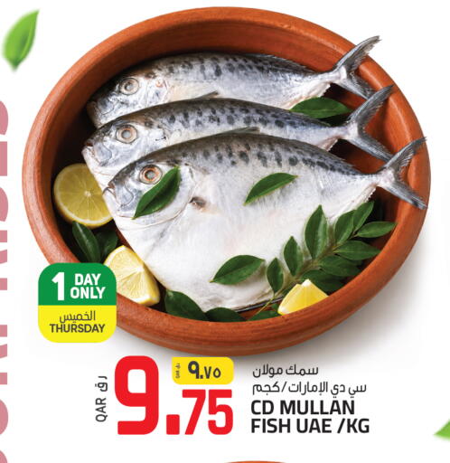 available at السعودية in قطر - الوكرة