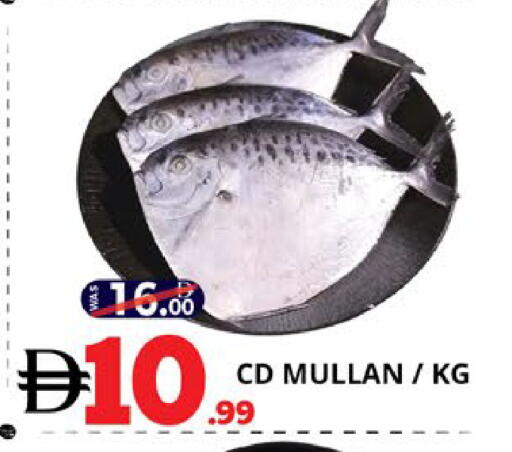 available at EXPRESS AL MADEENA HYPERMARKET LLC in UAE - Abu Dhabi