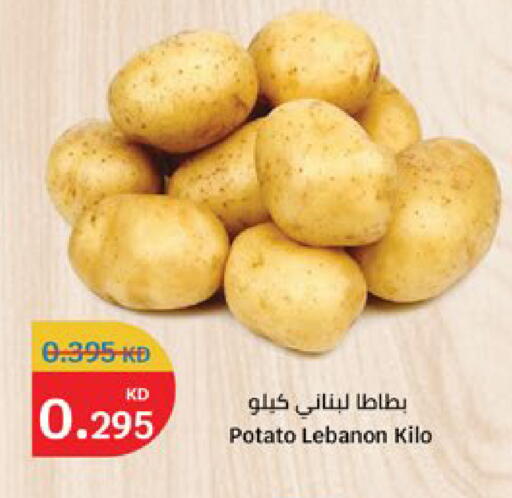Potato from Lebanon available at سيتي هايبرماركت in الكويت - مدينة الكويت