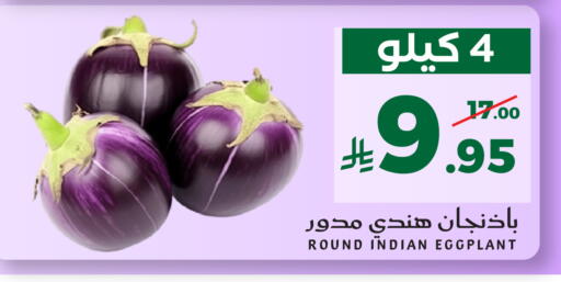 Eggplant from India available at ميرا مارت مول in مملكة العربية السعودية, السعودية, سعودية - جدة