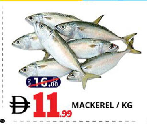 available at EXPRESS AL MADEENA HYPERMARKET LLC in UAE - Abu Dhabi