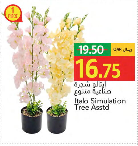 available at Gulf Food Center in Qatar - Doha