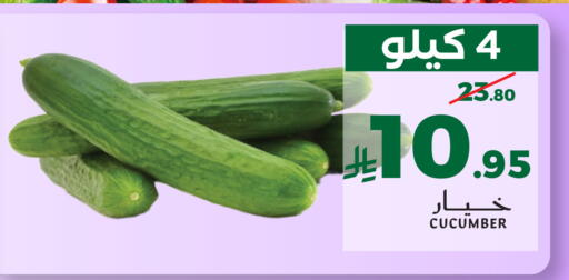 Cucumber available at ميرا مارت مول in مملكة العربية السعودية, السعودية, سعودية - جدة