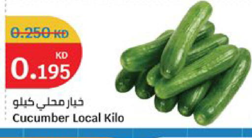 Cucumber available at سيتي هايبرماركت in الكويت - مدينة الكويت