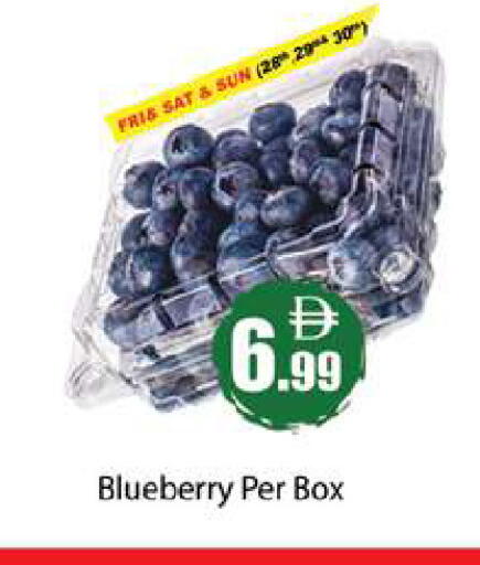 Blueberry BlueBerry available at Gulf Hypermarket LLC in UAE - Ras al Khaimah