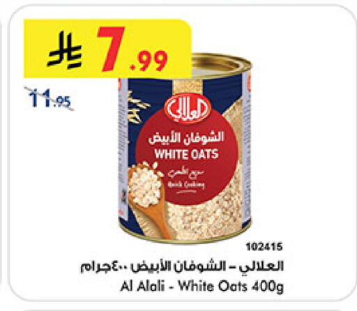 available at بن داود in مملكة العربية السعودية, السعودية, سعودية - المدينة المنورة