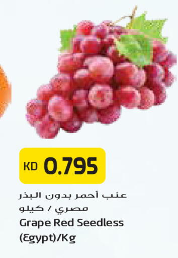from Egypt available at جراند كوستو in الكويت - مدينة الكويت