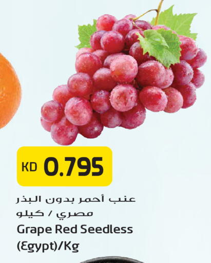 from Egypt available at جراند هايبر in الكويت - مدينة الكويت