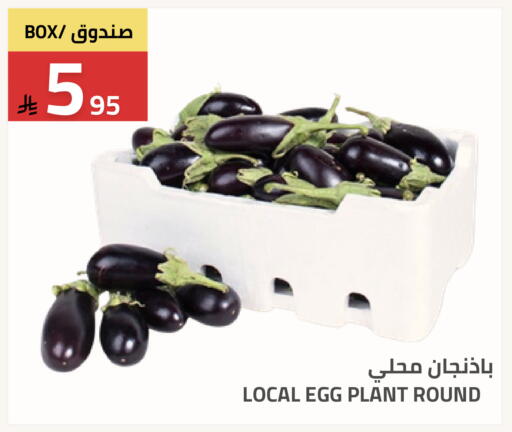 available at أسواق أسترا in مملكة العربية السعودية, السعودية, سعودية - تبوك