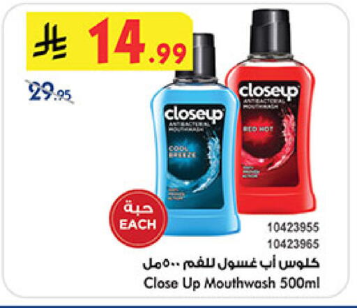 available at بن داود in مملكة العربية السعودية, السعودية, سعودية - المدينة المنورة