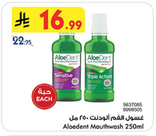 available at بن داود in مملكة العربية السعودية, السعودية, سعودية - المدينة المنورة