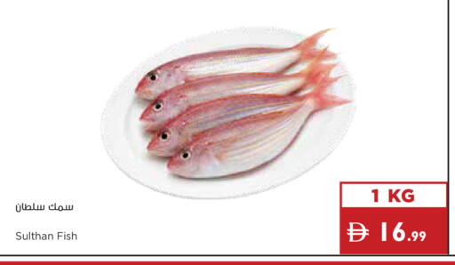 available at إسطنبول سوبرماركت in الإمارات العربية المتحدة , الامارات - أبو ظبي